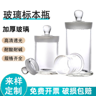 Sealed Jar Food Grade Jar Storage Jar Pericarpium Citri Reini Tea Coffee Beans Storage Jar Specimen Bottle Insect-proof Moisture-proof Glass Jar