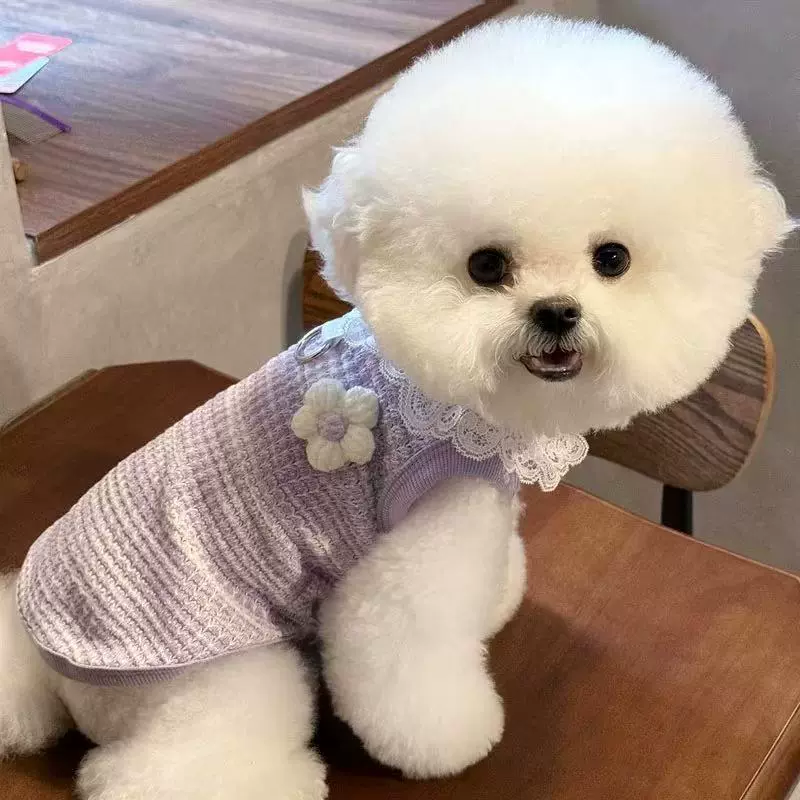 工厂定制春秋新款宠物针织背心可牵引狗狗衣服泰迪比熊小型犬猫咪