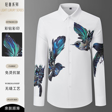 ���ݸ߶˳��������̿���ߵ������¿�����3D����ӡ������羳��ɫ