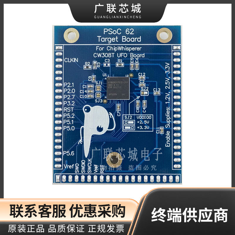 NAE-CW308T-PSOC62 开发板- ARM PSoC62 Target for CW308