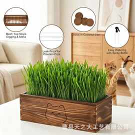跨境木质花卉植物种植盒多肉盆栽盒家用猫草种子收纳盒桌面绿植盒