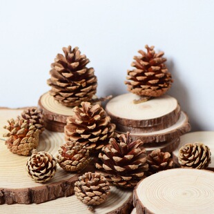 ���ɹ�����Ȼ���ӻ� ���ջ�Y�Ɍ��}�Q�b������� �����ֹ�DIY