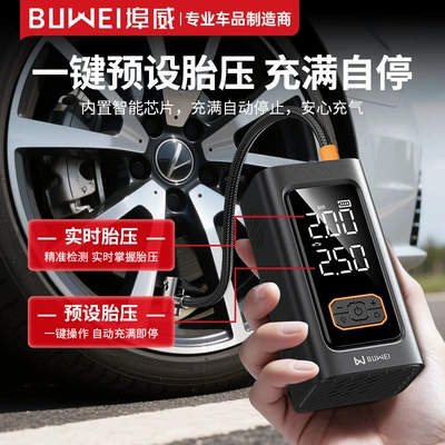 Buwei 12v car air pump Car on the line of fire