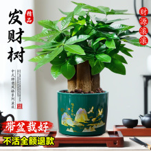 2024�¿�lؔ��С���Կ͏d�k�����_�I�ͶY��ؔ���U����ʽ�Gֲ�辰