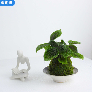 ���~��ˮ��̦�\��/�W�t�^�~�y�}��������Gֲ�״���С�辰�쾰��