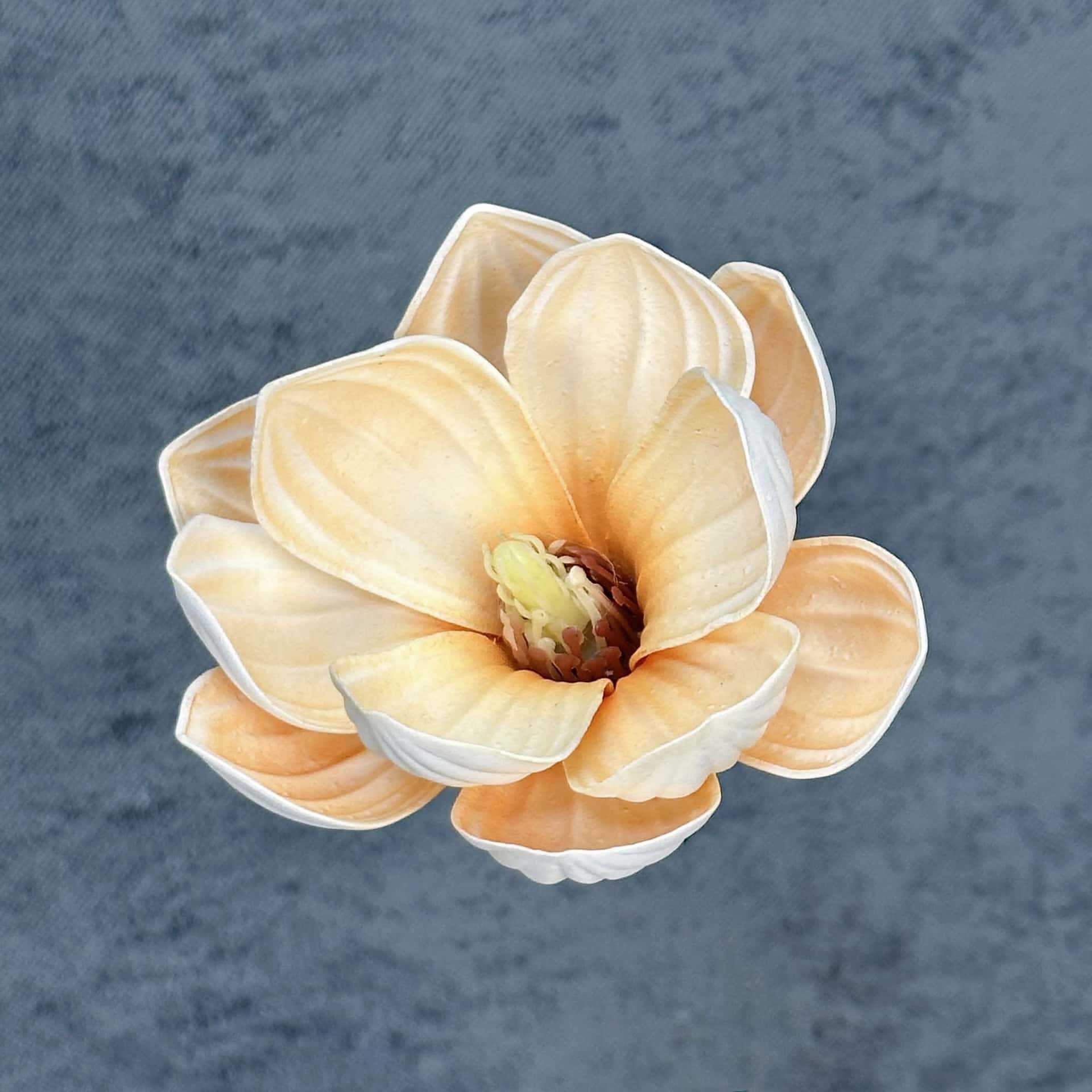 Flor de simulación transfronteriza EVA cabeza de magnolia 13cm tacto tocado kapok decoración decoración decoración flor falsa al por mayor