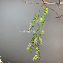 2025�¿��nʽ�Gֲɭϵ��Y���滨���������ٗl��픴�������ֲ��