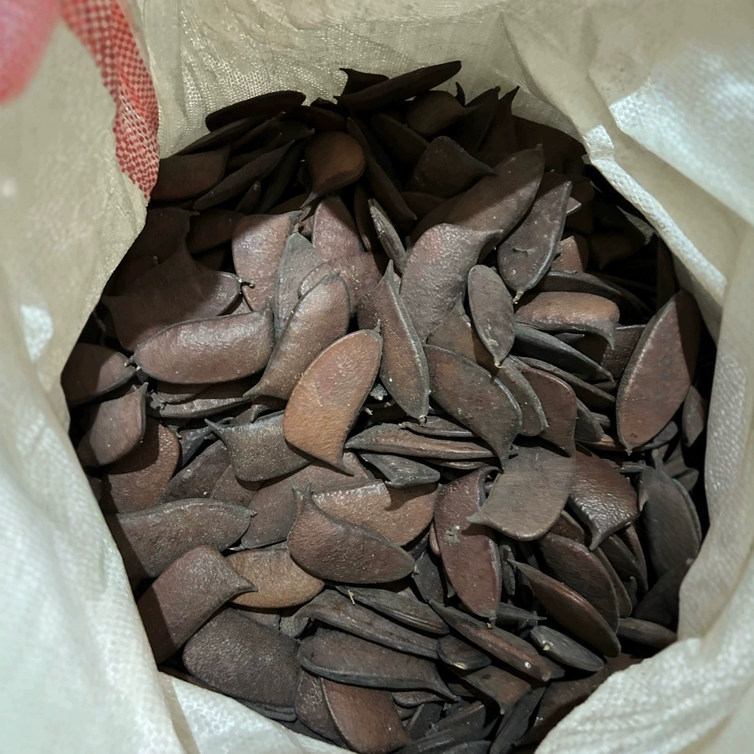 Большой фруктовый нож, угловой фруктовый нож, сушеные бобы, сушеные цветы, образец скорлупы сухофруктов, рождественское украшение, ручная работа, сырье «сделай сам», большой фруктовый нож