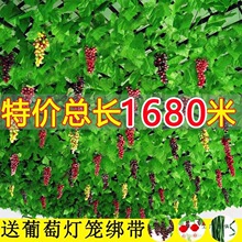 �ٻ��ٗl������~�ӹܵ��p�@�G���������~����b���픾Gֲ��G�~