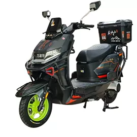 电动自行车;电动摩托车;其他电动车