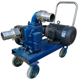 鸡粪鸭粪养猪厂粪池柴油机YHCB型60立方齿轮泵柴油抽粪泵图片