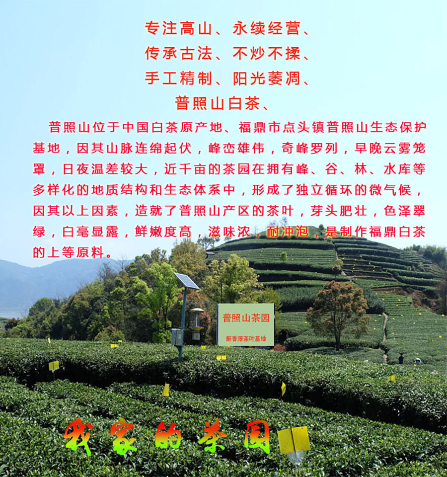 5f2a5c6a17a3063f14cf24fa685159