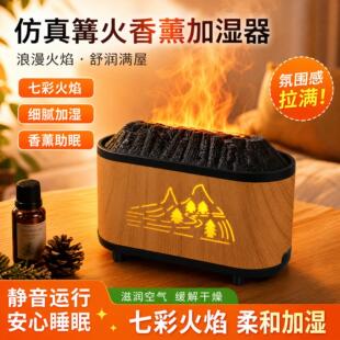 深圳市时音电子有限公司