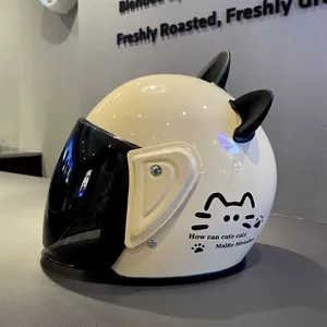 Winter Electric Motorcycle Helmet 3C Certified Cat Ear