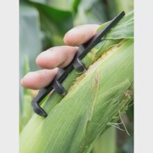 ������Ƥ����һץ�_�����r��ȥ����Ƥ�������͹������l���ǹ���