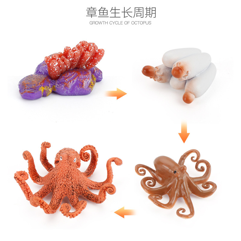 PL127-2436 pulpo 98g