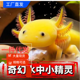 ���ǿ����~�^�p�~���~���~�\����ˮ��ˮ�~ϔ������B�����~