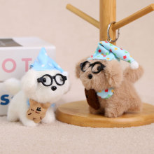 2026����ī���籭�����﹫�п羳��ż���l�¹���ޱ����^��������