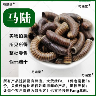 �R���ș�� ��Ʒ��؛ �в�șҰ��ǧ���x500g �ٹ��x�R�� �R�S�ݾ�