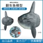 跨境生物实心儿童模型