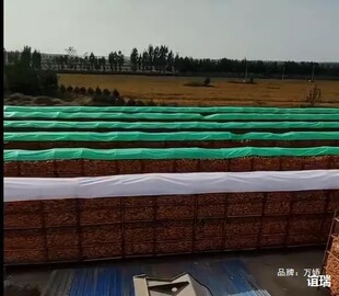 �Zʳ���������겼�ڷ������겼�@���ׂ}���\���w�n�����ϲ�����