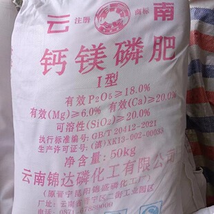 星河入梦 电影