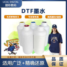 2025热卖款白墨烫画墨水 工厂直销环保抖粉机稳定CMYK颜料墨水