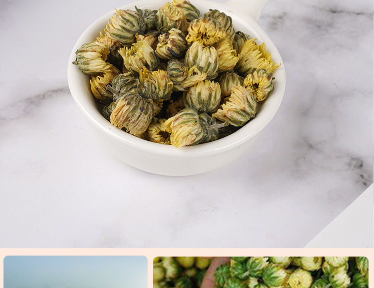 Tai Ju Chrysanthemum Buds (Chrysanthemum morifolium) — Dried Flower Tea, 35g Jar in use