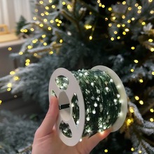 圣诞灯串led跨境热卖遥控铜线灯彩灯绿线led铜丝灯串满天星圣诞