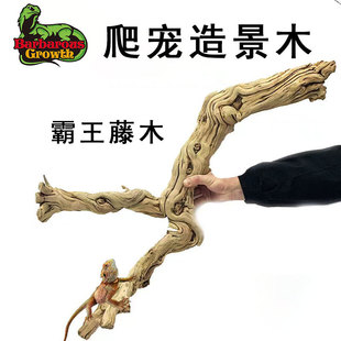 BG����������ľ�����쾰�b��ת{���挙�����،m��B�������ٗl��