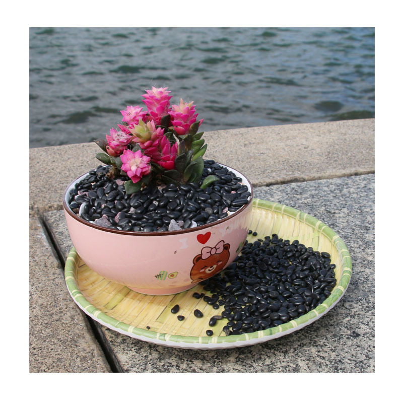 ʽͥԺԭʯ | ҵ̲绯 | ɽˮʯ/ʯ