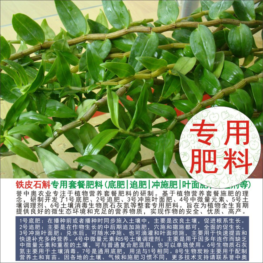 50�����а���Ƥʯ��ר���л��ʸ��Ϸʵ׷�׷��Ҷ��ʳ�ʩ��ˮ��