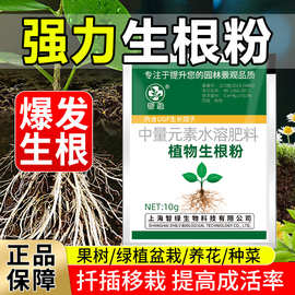 树木移栽生根液大树营养液植物通用激活液果树生根壮苗剂