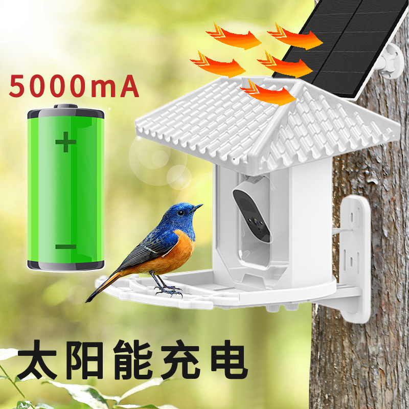Alimentador de aves inteligente al aire libre impermeable solar powered 2,5 K HD Cámara AI identificación de aves alimentación de aves al por mayor