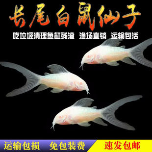 �Lβ���������~�����Ꭷ�^�p�����~�坍�׳���������S���~���]