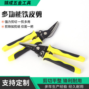 Manufacturer Customized Multifunctional Iron Shears, Powerful Shears for Ceiling Aluminum Gusset Plates, Special Wire Shears, Electrician Shears Wholesale