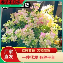 һ�����l����÷��������ֲ�����Ԏ����ļ��_��ͥԺ��Ԯ�����ͺ�