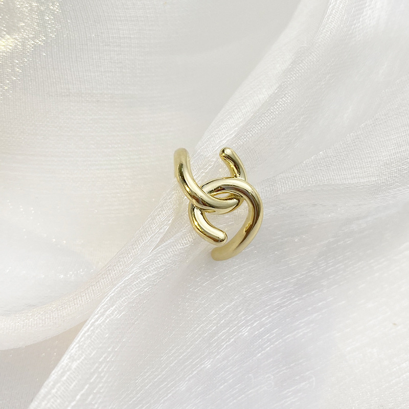 Brand elegant universal small fashionable earrings