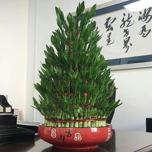 ���͸��F��ˮ�B�͏d���Լ�ȩˮ�����B����w�»��_�Iϲ�ͶY����