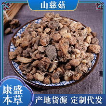 �F؛���lɢ�bɽ�ȹ�ë�ȹ�������ɽ�ȹ�������䱳���l