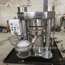 芝麻核桃液压榨油机 多功能立式压榨机 茶籽油葵籽榨油机