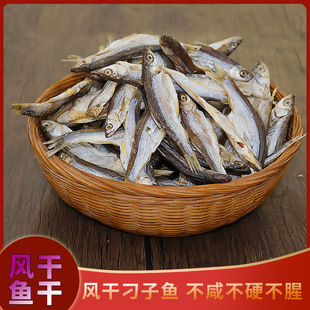 ǧ�u���~�ɸ�؛�Sβ�~�ɟo�}�o�����r���������خa