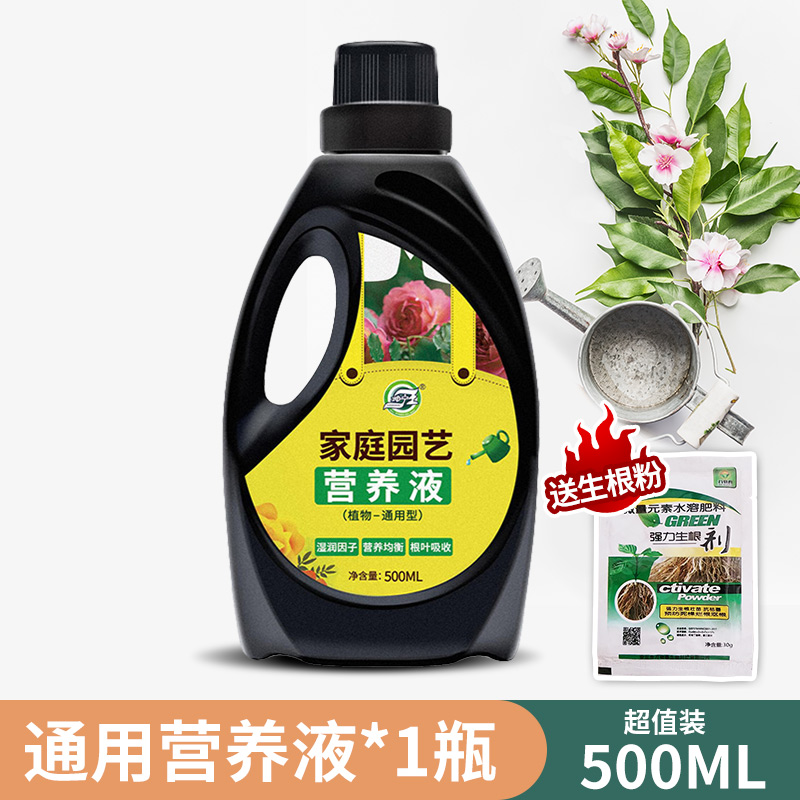 Yichengyue 일반형 500ml*1병 + 루팅파우더 1봉