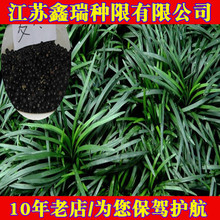 ձ²ݷNӽ߅ ݷNӰݷNӲƺ