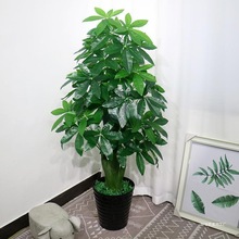 綠植發財樹搖錢樹系列客廳裝飾綠色植物落地絹花盆栽塑料盆景