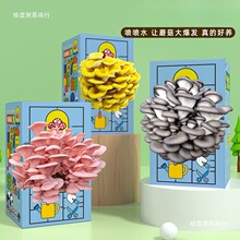 Ģ�����ӶY��ƽ���Nֲ��ʳ�þ��׃��@���޾Gֲ�Bֳ���b���b
