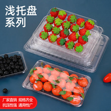 一次性托盘生鲜多规格加厚透明包装盒蔬菜水果托盒锁鲜定制抗压