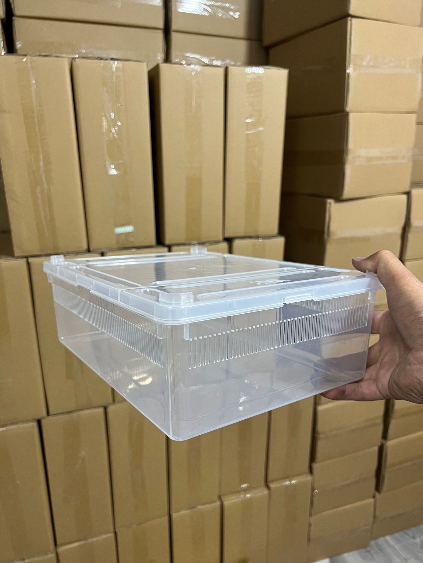 33*24* 10cm