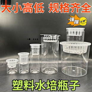 ˮ���߲˻@�ɶ�������͸��ˮ�໨��N��ˮ�ඨֲ���A���ξGֲ����