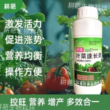 �~�����L�`�߲��L�ÿ��~���С�ײ�������������˴������L������